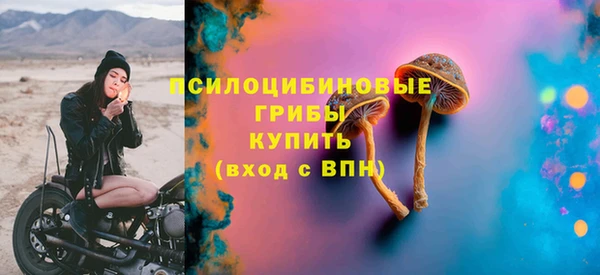 ECSTASY Навашино