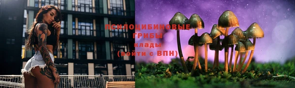 ECSTASY Навашино