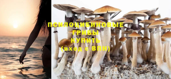 гидропоника Нея